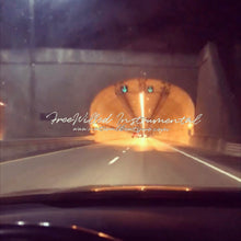 Load image into Gallery viewer, FreeWilled Instrumental