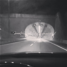 Load image into Gallery viewer, FreeWilled Instrumental