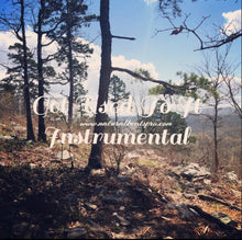 Load image into Gallery viewer, Get Used To It Instrumental