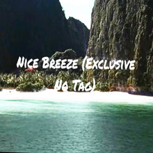 Load image into Gallery viewer, Nice Breeze Instrumental
